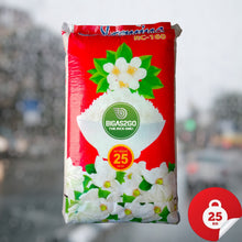 Load image into Gallery viewer, Fast & Free Delivery: Same-Day/Next-Day (Metro Manila & Nearby) | BIGAS2GO Jasmine Fragrant Rice 25kg | Premium, Aromatic Bigas Padala | 10% Off QR Code Payment