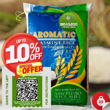 Load image into Gallery viewer, NEW Fast (Metro Manila Delivery Only Shipping Fee Included) BIGAS2GO Jasmine Aromatic Fragrant Rice 25kg Bigas Padala Delivery
